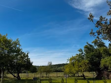 terrain constructible 815 m² – arboré  calme  proche amboise