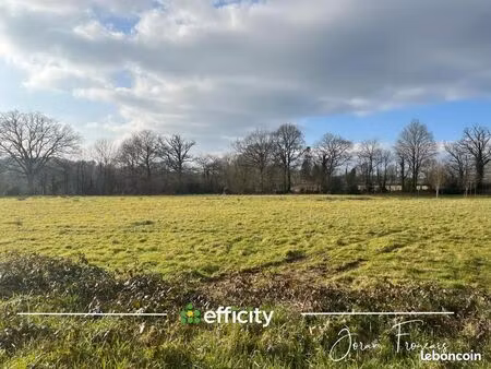 terrain 11 000 m² prince