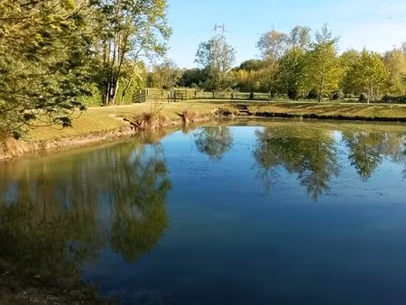 terrain de loisirs arboré avec petit étang