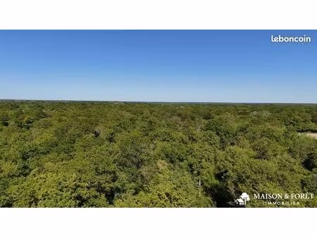 terrain 380335 m² ouzouer-sur-trézée