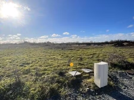 terrain 512 m² le lion d angers