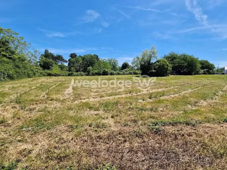 vente terrain à batir 3924 m² à saint-gaultier (36800)  37 000 €