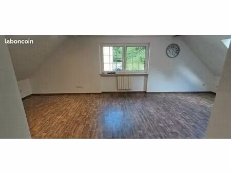 appartement f2 rénové de 42 m² à deux pas de la frontière allemande