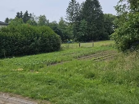 terrain 1296 m² freistroff