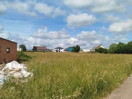 terrains constructibles bois de chene proche phalsbourg saverne sarrebourg