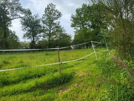 2 hectares environ ( 19770 m² )
