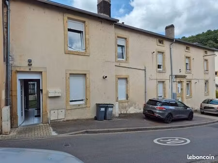 lot de 2 immeubles 391m2 joeuf