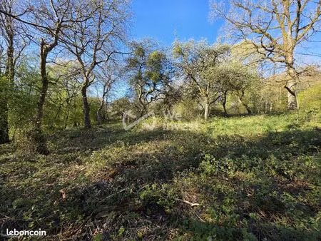 terrain 810 m² luzy-saint-martin