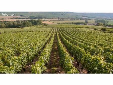 recherche terrain constructible