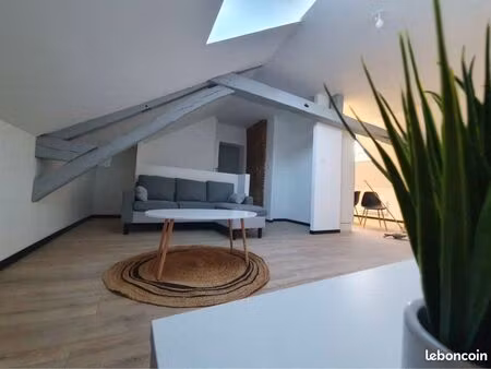 charmant appartement 1 chambre