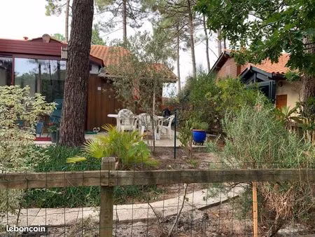 jolie maison au milieu des pins…