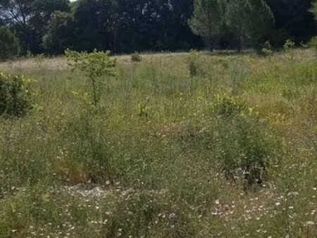 location terrain agricole irrigable