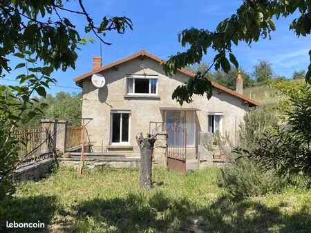 maison en pierre avec grand terrain