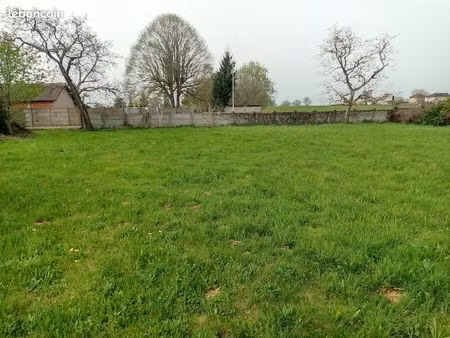 grand terrain 2900 m2