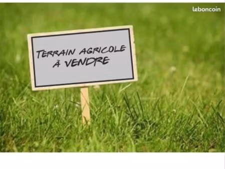 terrain agricole