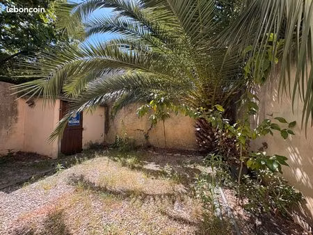 rarissime a saisir centre ville polygone t2 avec jardin intérieur t2