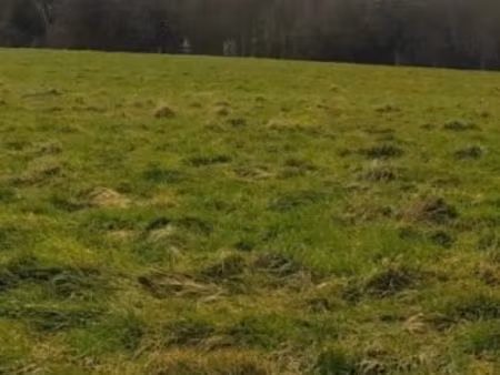 terrain 500 m² brunembert