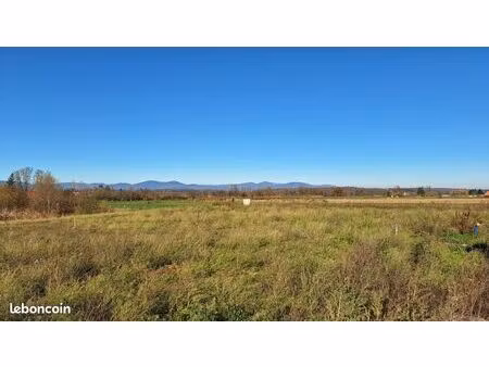 terrain 450 m² dannemarie