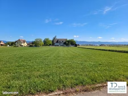 terrain 349 m² niederhergheim