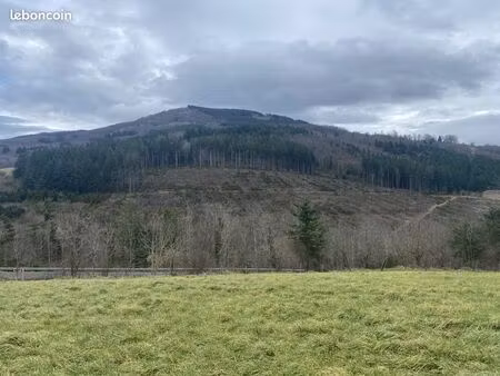 terrain 6098 m² vollore-ville