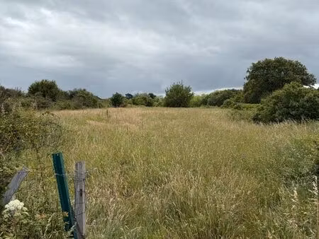 terrain
