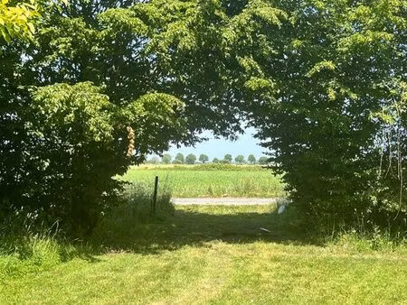 location terrain pour mouton/chèvre