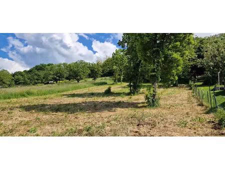 vente terrain 1305 m² à saint-georges-sur-allier (63800)  78 000 €