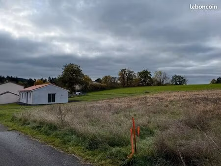 terrain à bâtir borne 43350