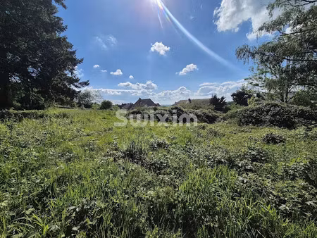 vente terrain à batir 3358 m² à lormes (58140)  77 900 €