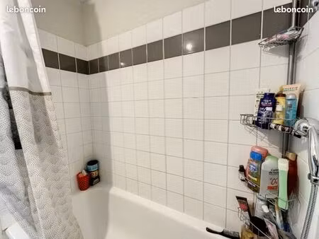vends t2 bis 55m² sur la commune de grenay