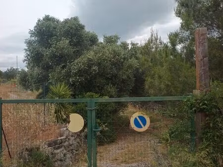 terrain de loisirs arboré