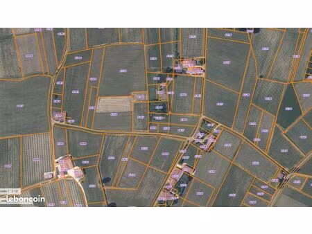 parcelle saint emilion grand cru 1 hectare