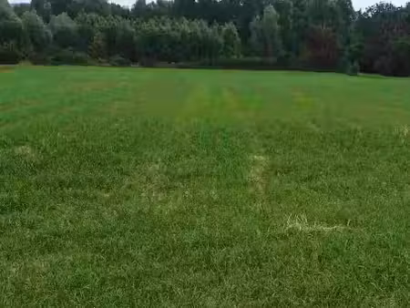 vente terrain 2500 m² à rebergues (62850)  60 000 €