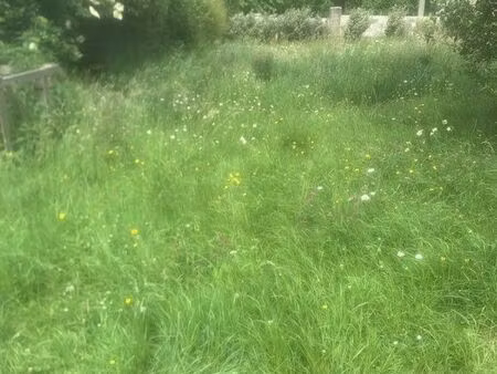 cherche petit terrain