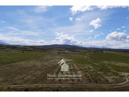 vente terrain 49385 m² à montner (66720)  66 500 €