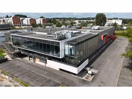 local d'activite 600 m² bruges