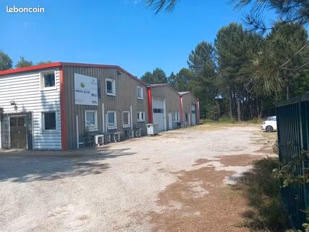 local d'activite 300mp² za cestas