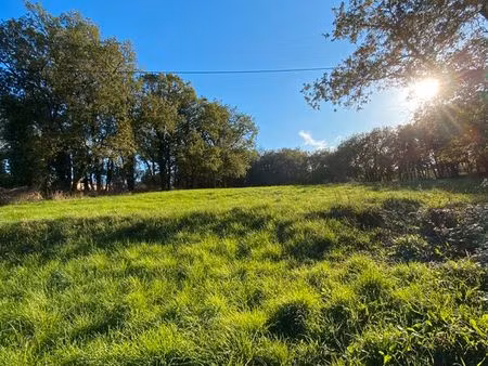 terrain avec cu