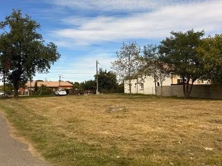 terrain montauban 1000m2 tout à l’égout