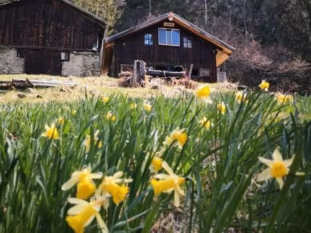 deux chalet d'alpage
