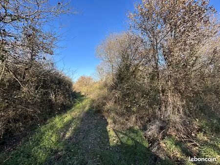 terrain 2100 m² les sables d'olonne