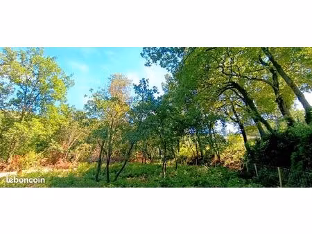 terrain 736 m2