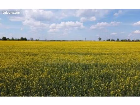 terrain agricole