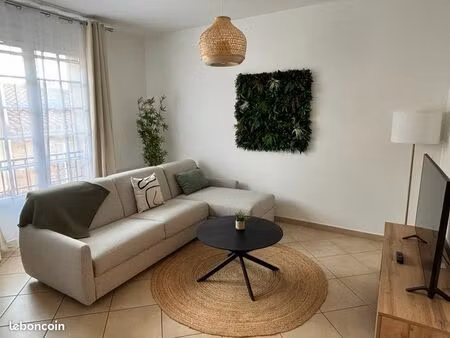 appartement meublé 2 chambres avec parking céret centre