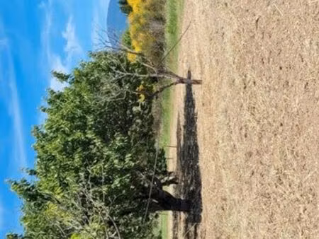 terrain agricole