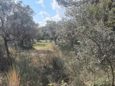terrain 1 060 m² la bastide des jourdans