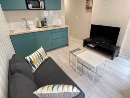 tres beau t2 meublé – rénové – moderne - hyper-centre piéton - ?% confort
