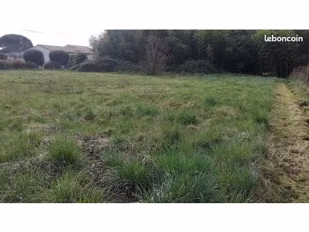 terrain constructible