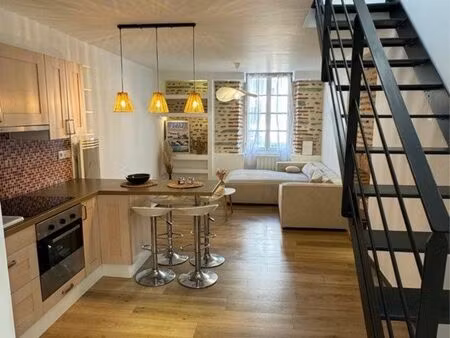 appartement duplex pau