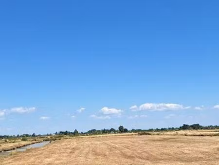 terrain de marais 7 140 m² – bois de céné
